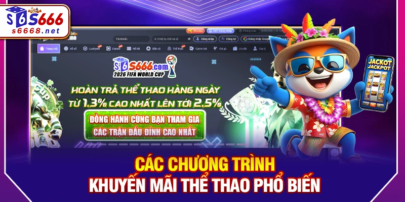 Các chương trình khuyến mãi thể thao phổ biến